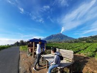 Top View Tomsu Tarubatang