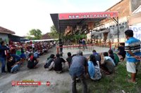 Bnr New Joko Poleng Bc