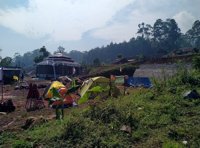 Wisata Alam Wangun Hutan Pines