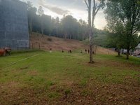 Wisata Hutan Gaharu