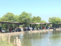 Desa Wisata Tambak Cemandi