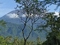 Blingbing Teracefield