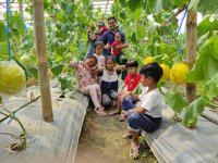 Kebun Anggur Dan Melon