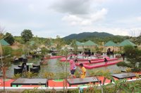 Buana Mega Wisata (bmw) - Air Biat