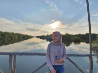 Hutan Mangrove Pik 2