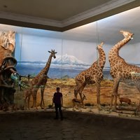 Museum Satwa Jawa Timur Park 2