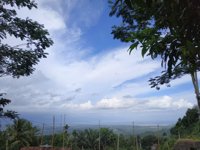 Bukit Pandang Sedayu (bupas)