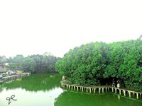 Lumina Grand Maerakaca