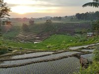 Home Camp Gunung Jaten