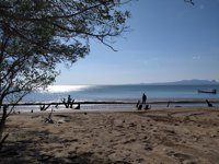 Pantai Kelapa Tinggi