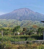 Gerbang Wisata Sedadap