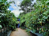 Lahan Talap - Upakarti Gunung Mergi