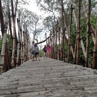 Eco Wisata Mangrove Gunung Anyar