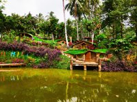 Wisata Banyumili Wonosalam & P4s Etawa Salam