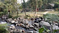 Camping Ground Pondok Halimun