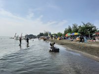 Gimbal Melan Pantai Ngebum