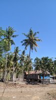 Pantai Pelajar