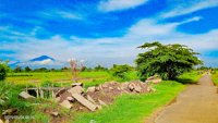Wisata Jalan Cinta