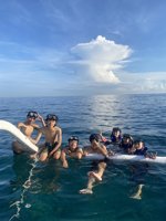Lovina Dolphin Marine | Dolphin And Snorkeling