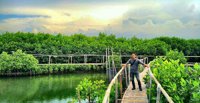 Mangrove Edupark
