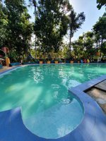 Wisata Taman Tectona