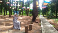 Hutan Kota Pinus Mentaos I