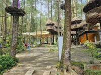 Kopeng Treetop Adventure Park