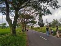 Top Selfie Gondosuli