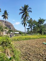 Salaja Wawo Kalo Mawu Ambalawi Bima Ntb