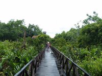 Taman Wisata Alam Pulau Bakut