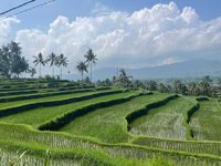 2 Bali Melali ( Trails And Lunch )