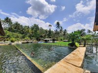 Wisata Mata Air Cimincul