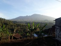 Petik Jamur Tiram Semeru