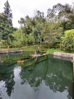 Pemandian Mata Air Mudal