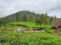 Lembah Si Kembang Tlogojati