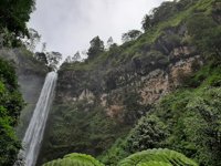 Wisata Coban Rondo