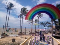 Mangrove Pantai Tanjung Burung