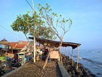 Pantai Sari Pekalongan