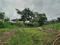Kerep Ngampon