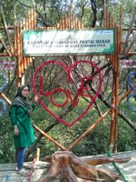 Ekowisata Hutan Mangrove Pantai Mekar