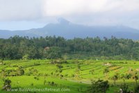 Banjar Pangi Karangasem