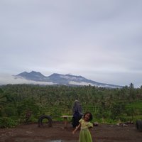 Dmenjamur Otak Kebon