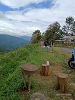 Angkruk Ranis