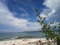 Pantai Mener Wapalu