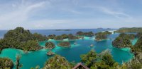 Telaga Bintang - Raja Ampat