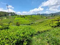 Tugu Desa Wisata Mekarwangi