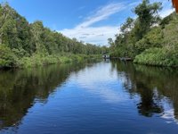 Taman Nasional Tanjung Puting