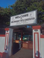 Bali Turtle Conservation