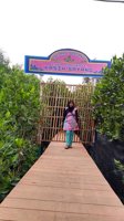Wisata Zona Mangrove Kasih Sayang
