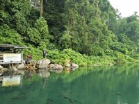 Balong Keramat Darmaloka